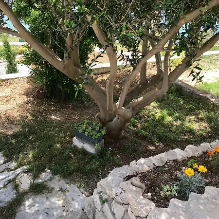 Summer House Hacienda, Pag -