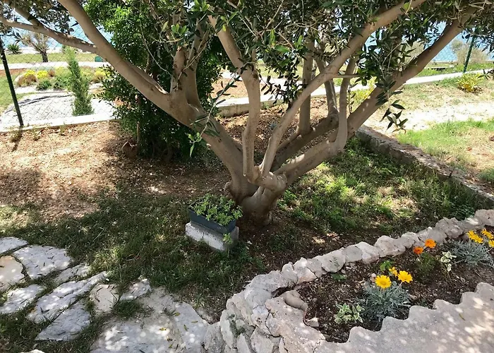 Summer House Hacienda, Pag -