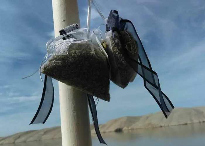 Lägenhet Summer House Hacienda, Pag -